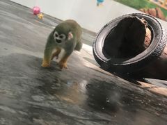 -西安秦岭野生动物园