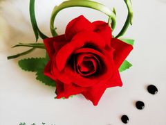 -爱月宝月嫂·育儿嫂(哈尔滨总店)