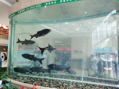-万佛湖风景区