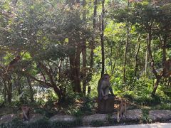 -姑婆山旅游区