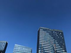 -凯悦·东方公主号 全球海鲜自助餐厅(凯丹广场店)