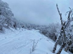 -太子岭滑雪场