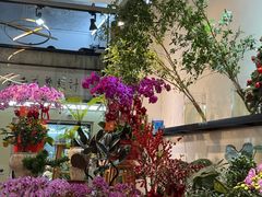 -溪岸路花鸟市场