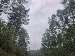 -萨尔浒风景区