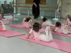-蒲公英舞蹈艺术中心(解放路校区)