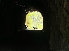 -磐安舞龙峡景区