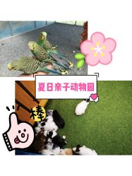 -萌宠亲子动物乐园(槐房万达店)