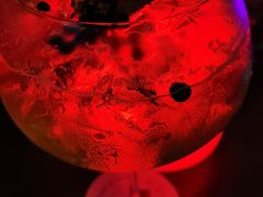 -Glass hammer 烧烤啤酒(福田购物公园店)