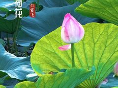 -哈尔滨大剧院