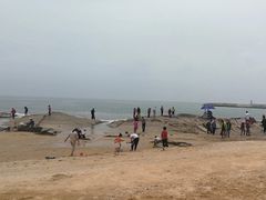 -渡海小渔村.老辈日照菜