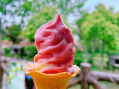 -上海野生动物园