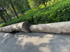 -洛阳白马寺