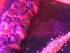 -MR.ROCKY洛奇先生RESTAURANT&BAR(宝安壹方城店)