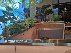 -马家斑.鲜鱼火锅(松湖万科店)