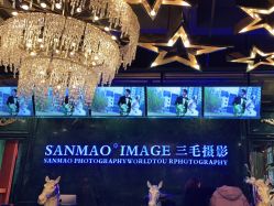 点击看大图 -重庆三毛摄影