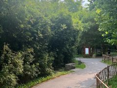 -火炉山森林公园