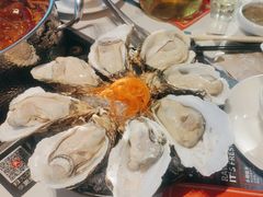-蚝大仙横琴生蚝火锅(日月贝店)