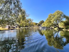 -上海共青森林公园