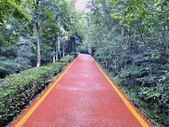 -西安汉城湖景区