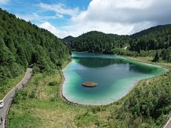 -武陵山森林公园