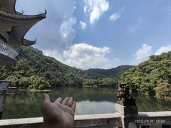 -鼎湖山风景区