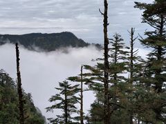 -瓦屋山景区