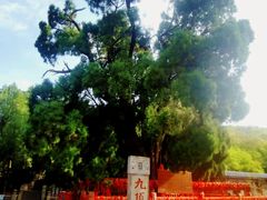-四门塔风景区