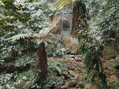 -赤水丹霞旅游区·佛光岩