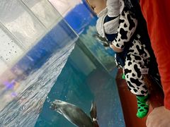 -太平洋海底世界