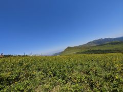 -灵山