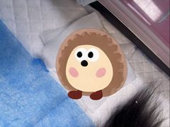 -御宝贝24h宠物医院·转诊中心·CT核磁血透中心(厦门总院)