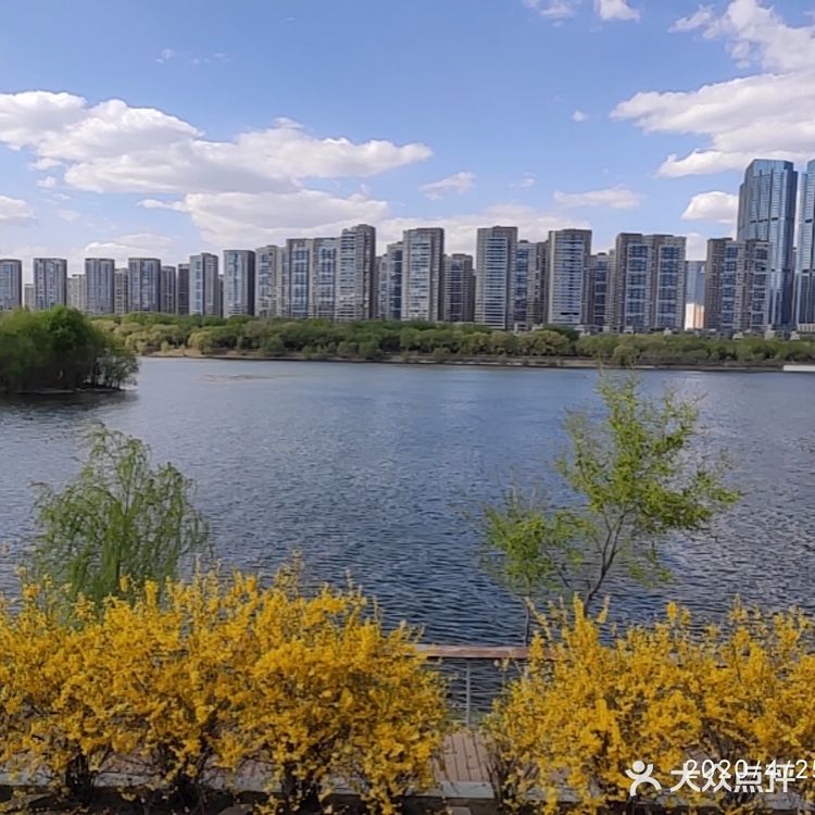 沈水湾公园