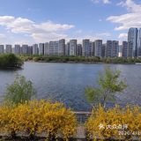 沈水湾公园
