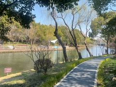 -新江湾城公园