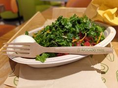 -油梨树 AVOCADO TREE(亮马桥店)