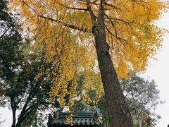 -西安化觉巷清真大寺