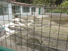 -三水森林公园