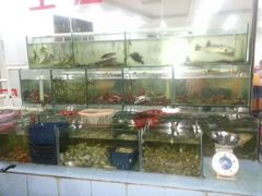 android_upload_pic-巽东海鲜大排档(巽寮湾店)