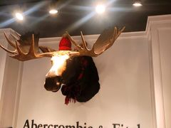 -Abercrombie&Fitch(德基广场店)