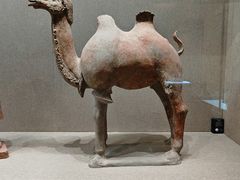 -敦煌市博物馆