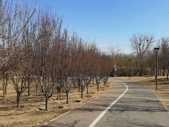 -马家湾湿地公园