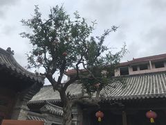 -青州古城