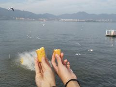 -海埂大坝