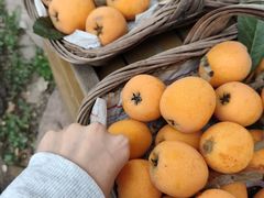 -桃源山庄·水蜜桃采摘·柴火鸡·烧烤团建(龙泉山店)