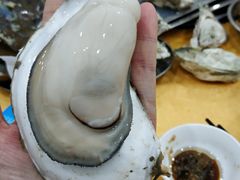 -蚝专家(北滘店)