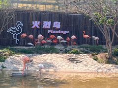 -齐齐哈尔龙沙动植物园