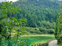 -武陵山森林公园