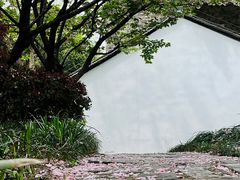 -南京市民俗博物馆(甘熙故居)