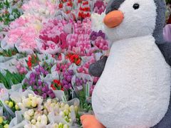 -循礼门鲜花花市(武汉循礼门店)