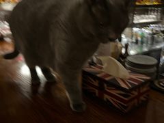 -OX BAR 拉培耶小镇(大连老街店)